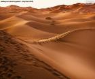 Пустыни Марокко